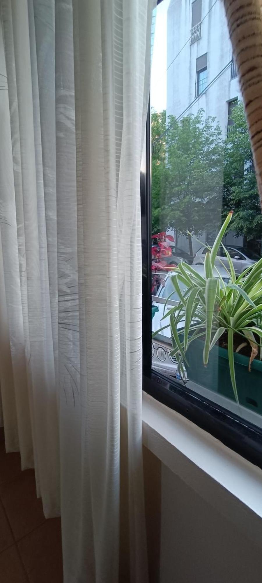 21 * Tirana
